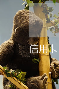 信用卡幾天后逾期