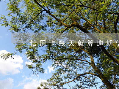 信用卡幾天就算逾期（信用卡幾天就算逾期）