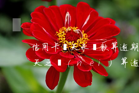 信用卡幾天未還款算逾期(信用卡還款日后三天之內(nèi)算逾期嗎)