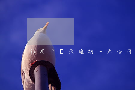 信用卡幾天逾期一天(信用卡幾天逾期一天)