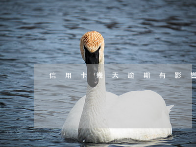 信用卡幾天逾期有影響嗎(信用卡 逾期 幾天)