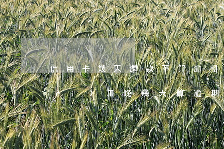 信用卡幾天還款不算逾期嗎(還信用卡費(fèi)用晚幾天算逾期)