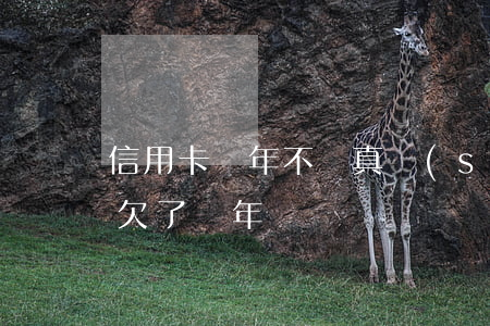 信用卡幾年不還真實(shí)故事(信用卡欠了兩年)