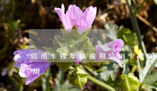 信用卡幾年前逾期(信用卡幾年前逾期過怎么辦)