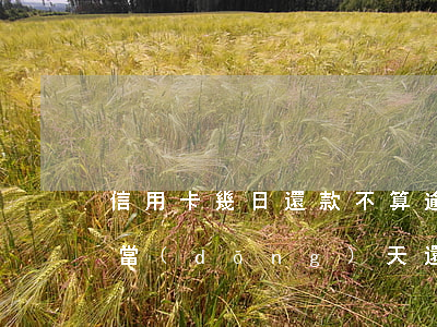 信用卡幾日還款不算逾期(信用卡還款到期日當(dāng)天還款算逾期嗎)