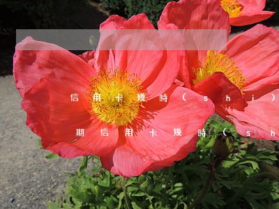 信用卡幾時(shí)不還會(huì)逾期(信用卡幾時(shí)不還會(huì)逾期)