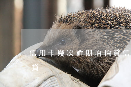 信用卡幾次逾期拍拍貸(信用卡幾次逾期拍拍貸)