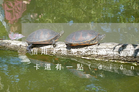 信用卡幾毛未還產(chǎn)生逾期(信用卡還有一點(diǎn)沒(méi)還算逾期嗎)