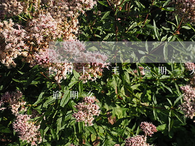 信用卡幾毛錢逾期一天沒事吧(信用卡1天算逾期么)