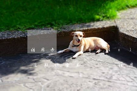 信用卡幾錢(qián)塊錢(qián)逾期能坐高鐵嗎-信用卡幾錢(qián)塊錢(qián)逾期能坐高鐵嗎知乎