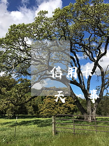 信用卡幾點前還不算逾期(信用卡一般逾期幾天沒事)