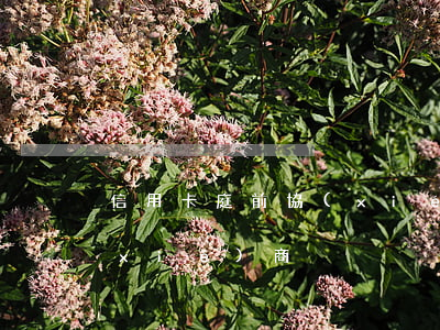 信用卡庭前協(xié)商 信用卡 逾期 協(xié)商