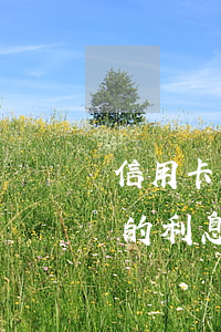 信用卡延期怎么變成逾期了(延期還信用卡款的利息怎樣計算)
