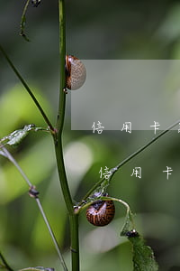 信用卡延期还款3天就收取违约金合理吗-信用卡延期还款3天就收取违约金合理吗