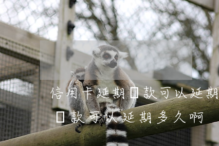 信用卡延期還款可以延期多久-信用卡延期還款可以延期多久啊