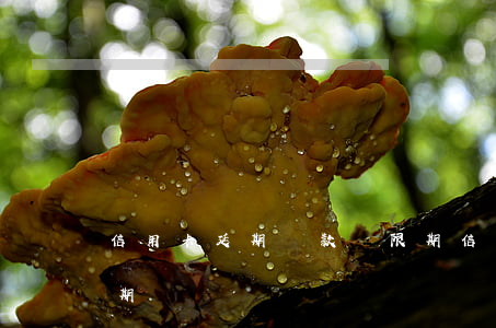 信用卡延期還款寬限期(信用卡延期還款寬限期)