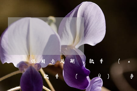 信用卡延期還款手續(xù)費(信用卡延期還款手續(xù)費多少)
