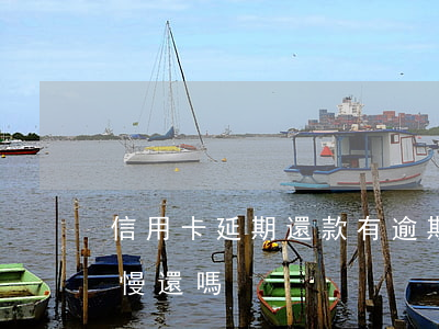 信用卡延期還款有逾期嗎(信用卡逾期可以慢慢還嗎)