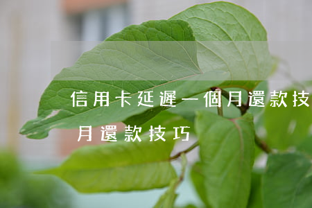 信用卡延遲一個月還款技巧(信用卡延遲一個月還款技巧)
