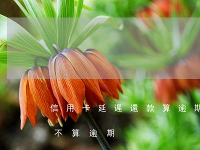 信用卡延遲還款算逾期嗎(信用卡遲還一天算不算逾期)