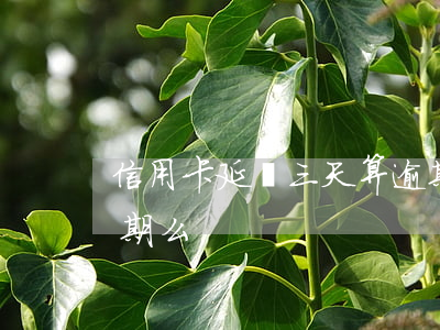 信用卡延長三天算逾期嗎(信用卡過三天算逾期么)