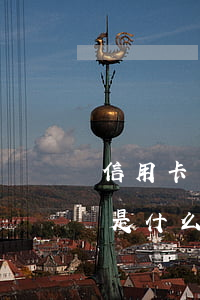 信用卡強制逾期是什么意思(信用卡強制逾期是什么意思啊)