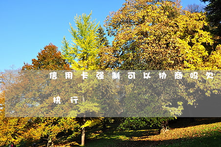 信用卡强制可以协商吗(欠信用卡被申请强制执行)