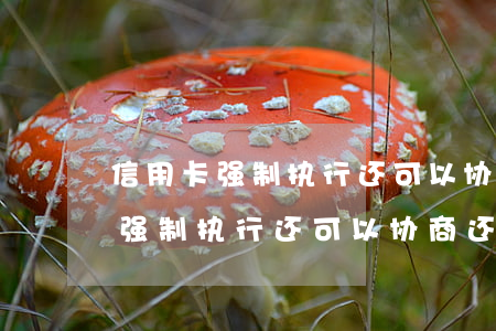 信用卡强制执行还可以协商还款吗-信用卡强制执行还可以协商还款吗知乎