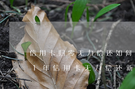 信用卡归零无力偿还如何协商还款-2021年信用卡无力偿还新法规
