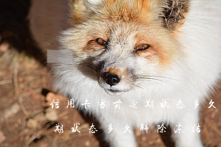 信用卡当前逾期状态多久解除(信用卡当前逾期状态多久解除冻结)