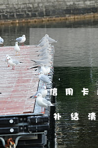 信用卡当前逾期补结清证明(信用卡当前逾期补结清证明)