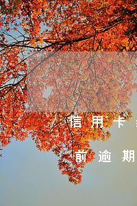 信用卡当前逾期还能从哪里贷款-信用卡当前逾期还能从哪里贷款呢