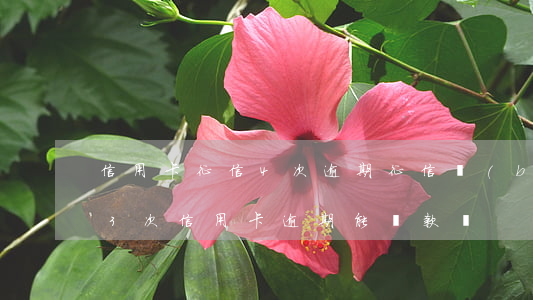 信用卡征信4次逾期 征信報(bào)告有3次信用卡逾期能貸款嗎