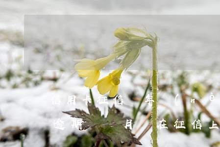 信用卡征信兩年內(nèi)有逾期(信用卡逾期兩個月會在征信上多久消失)