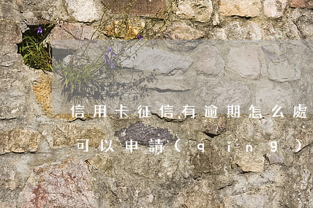 信用卡征信有逾期怎么處理(征信有逾期記錄可以申請(qǐng)信用卡嗎)