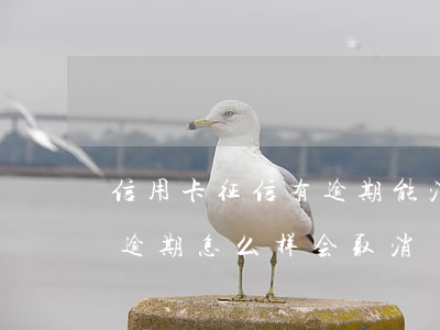 信用卡征信有逾期能消吗(征信上面的信用卡逾期怎么样会取消)