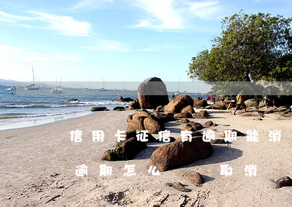 信用卡征信有逾期能消嗎(征信上面的信用卡逾期怎么樣會取消)