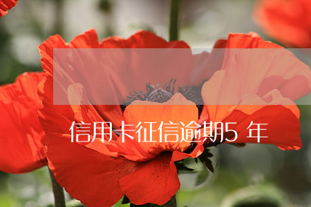 信用卡征信逾期5年