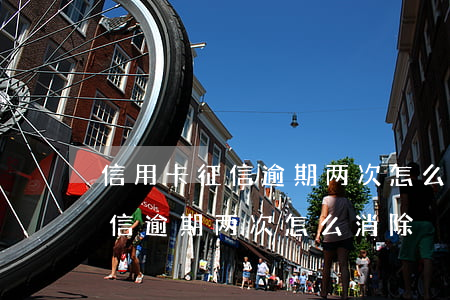 信用卡征信逾期两次怎么消除影响（信用卡征信逾期两次怎么消除）
