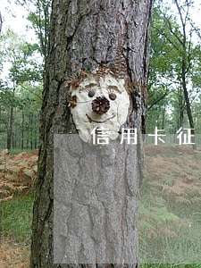 信用卡征信逾期太多怎么貸款