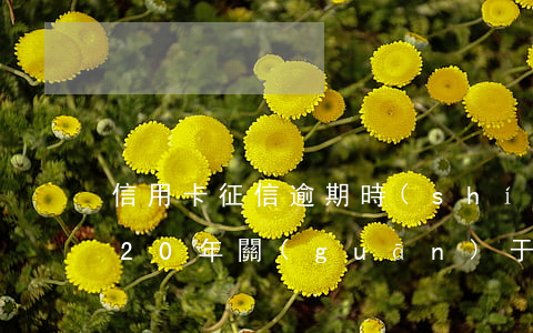 信用卡征信逾期時(shí)間怎么算(2020年關(guān)于信用卡逾期最新標(biāo)準(zhǔn))