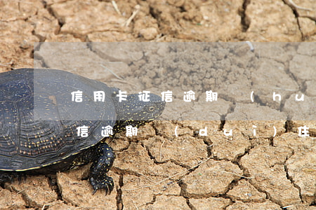 信用卡征信逾期會(huì)影響公積金 征信逾期對(duì)住房公積金辦理有沒(méi)有影響