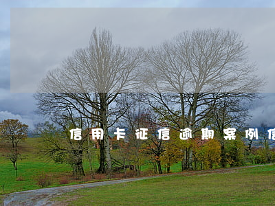 信用卡征信逾期案例(信用卡征信逾期案例)