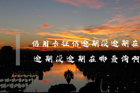 信用卡征信逾期没逾期在哪查询(信用卡征信逾期没逾期在哪查询啊)