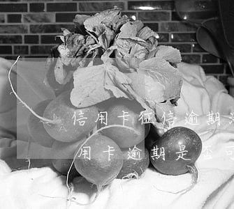 信用卡征信逾期法院判決怎么消除(被拘留信用卡逾期是否可以消除征信)