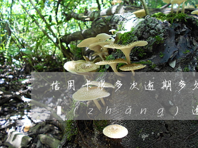 信用卡很多次逾期多久能消(你們的信用卡最長(zhǎng)逾期過(guò)多久)