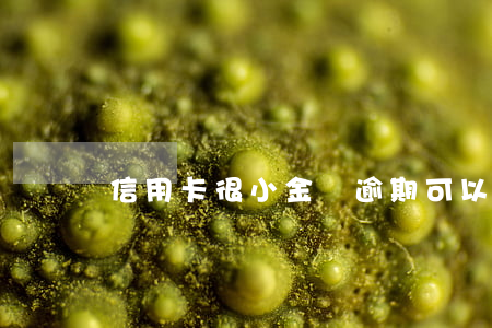 信用卡很小金額逾期可以修改嗎