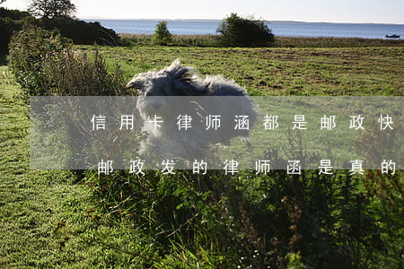 信用卡律师涵都是邮政快递的吗(信用卡通过邮政发的律师函是真的吗)