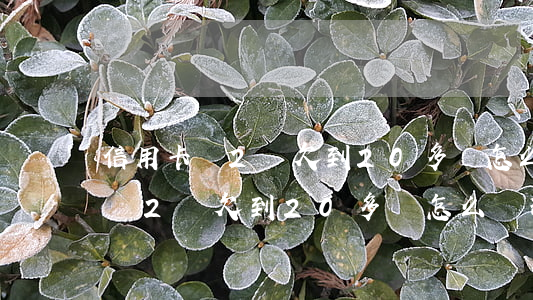 信用卡從2萬欠到20多萬怎么辦-信用卡從2萬欠到20多萬怎么辦理