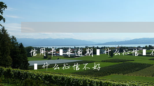 信用卡從未逾期為什么征信還不好(從沒逾期為什么征信不好)